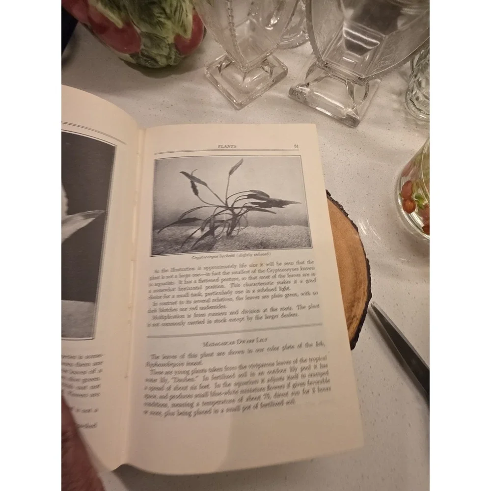 N/A product hardcover